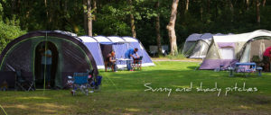 Alpine Grove Camping