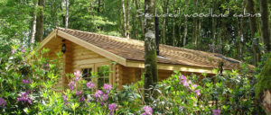 Alpine Grove Log Cabin