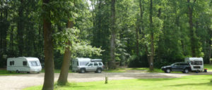 Alpine Grove Touring