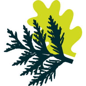 Alpine Grove favicon