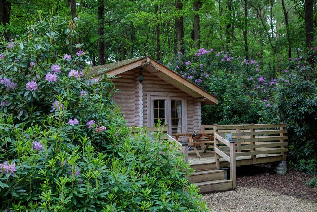 Our accommodation is very accommodating - Alpine Grove